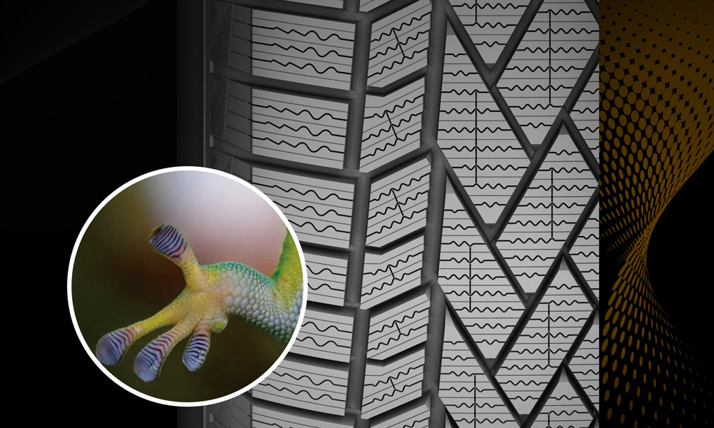 壁虎抓地花纹2.0