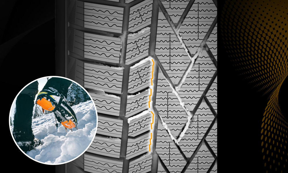 雪爪花纹边缘设计