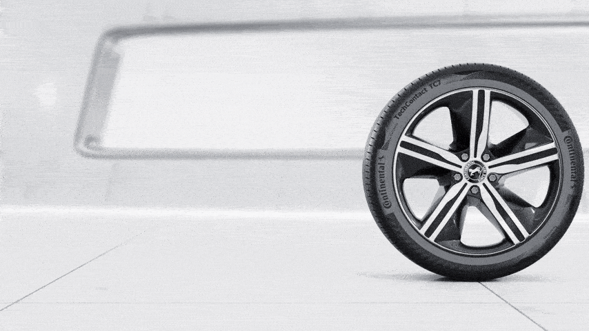 加固聚合物网络结构